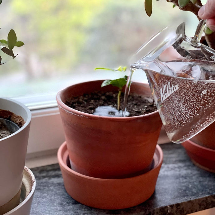 Tillbakablick och följarfråga:  ”Är du kristen?”