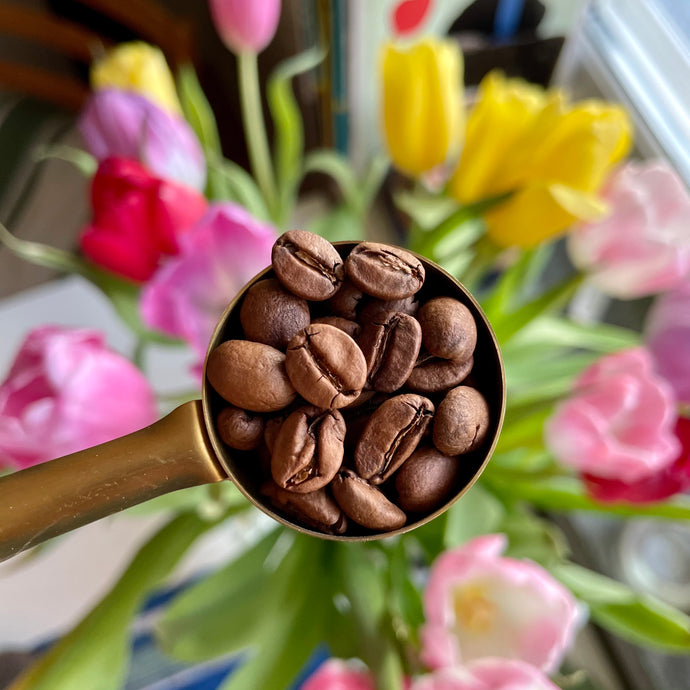 Det fanns en tid då jag fick ont i magen av kaffe – den tiden är förbi