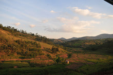 Ladda upp bild till gallerivisning, Fruktbar | Specialkaffe från Rwanda
